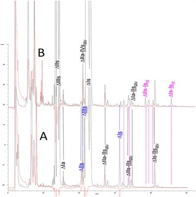 Heparinase Digestion of 3-O-Sulfated Sequences: Selective Heparinase II Digestion for Separation and Identification of Binding Sequences Present in ATIII Affinity Fractions of Bovine Intestinal Heparins